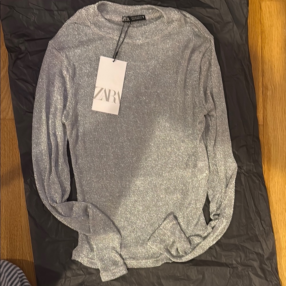 Zara Silver Metallic Sweater